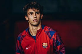 2026 WBC：日本队名单中的平良海马确认将担任中继关键局，目标是解决对方的核心强打